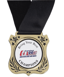 MT-50 Shield Medallion, 2.75" image 0