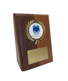 Standing Desk Plaque image 0
