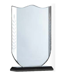 Premier Glass 9.25" image 0