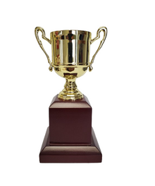 MC101 Trophy Cup 6" image 0
