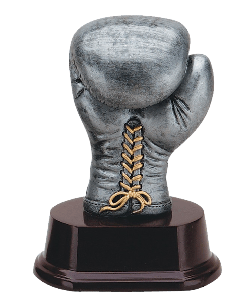 RJ280B, Silver and Gold Boxing Glove image 0