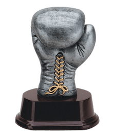RJ280B, Silver and Gold Boxing Glove image 0