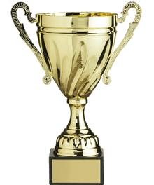 Gold Metal Cup image 0