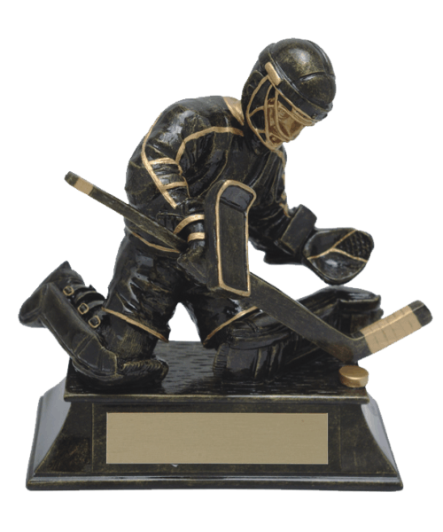 RF00645HG, Aztec Hockey - 6" Goalie image