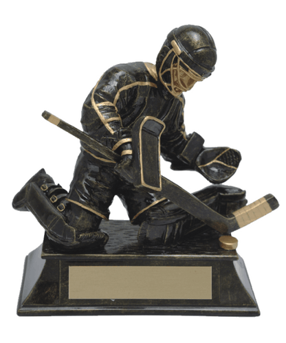 RF00645HG, Aztec Hockey - 6" Goalie image