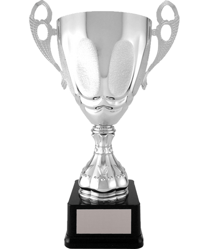 MC00510 - Silver 14.5" image