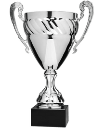 EC5151G, Economy Cup (Gold or Silver) image 1