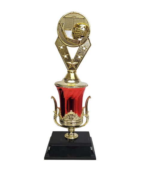 Flash Trophy 12.5" image 0