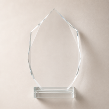 Duke Crystal Award 9.5"