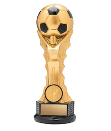 Gold Champion Soccer 7-8" image 0