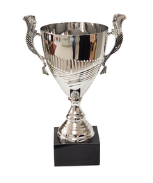 Arcana Trophy Cup image 0