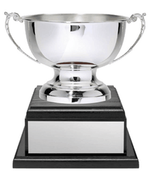 BCW800 image 0
