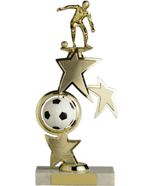 3203-12, Traditional Soccer Award image 0