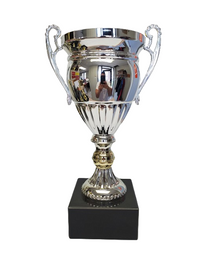 Logan Trophy Cup image 0