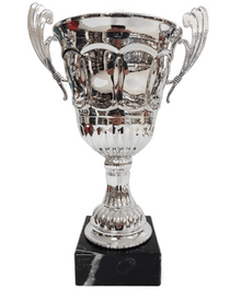 WTC-EC1305A, Silver Aluminum Cup image 0