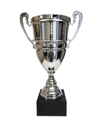 Gladiator 18" Trophy Cup image 0