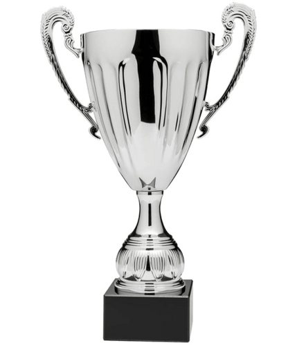 EC5601 - Silver 14.25" image