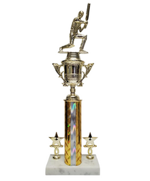 Rising Cricket Trophy image 0