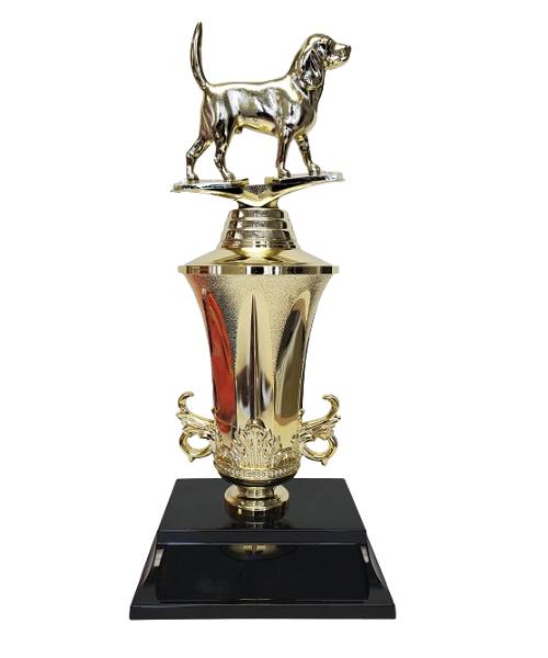 Valor Traditional Trophy image 0
