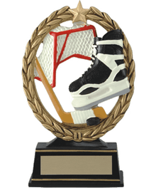 RF30315FC, Wreath with Net, Stick, Skate image 0