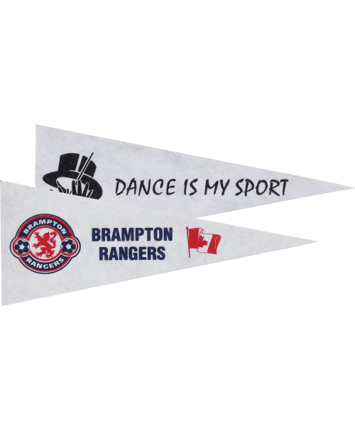205-12, Pennants image 1