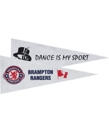 205-12, Pennants image 1