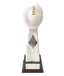 Frosted Silver Football image 0