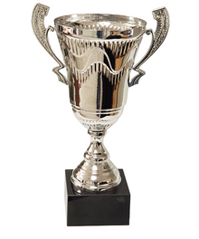 Aegis Trophy Cup 19.25" image 1