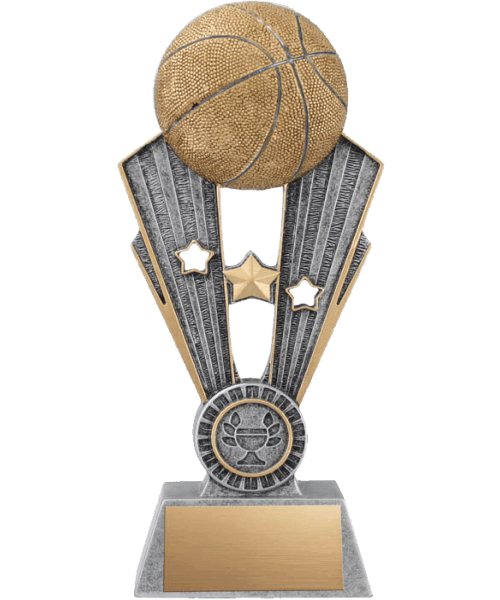 A1402A, Fame Basketball image 0