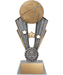 A1402A, Fame Basketball image 0