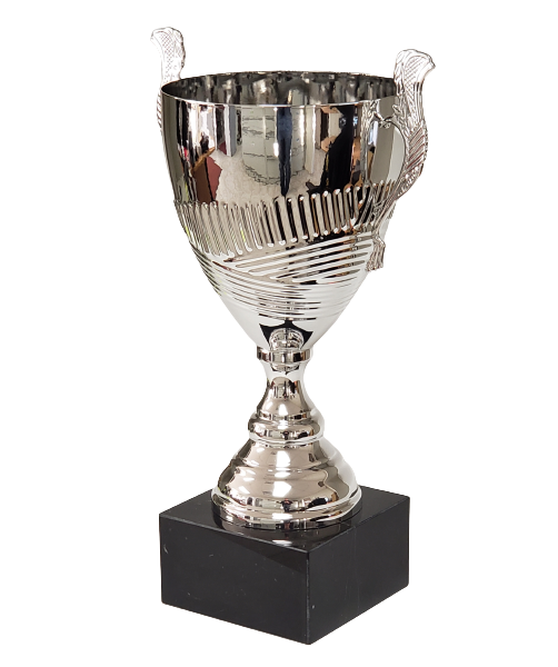 Arcana Trophy Cup image 1