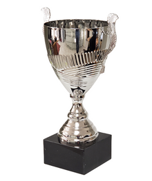 Arcana Trophy Cup image 1