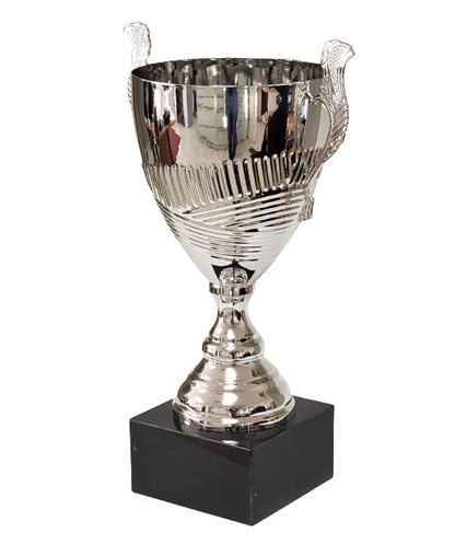 Arcana Trophy Cup image 1