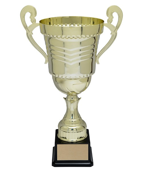 Ossington Trophy Cup image 0