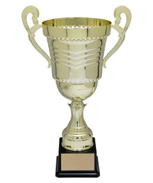 Ossington Trophy Cup image 0