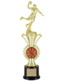 T18-69101, Achievement Series Basketball 13" image 0