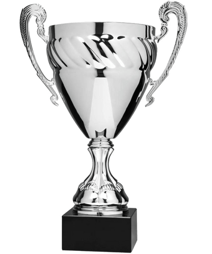 EC5151G, Economy Cup (Gold or Silver) - Silver 9" image