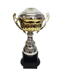 Spectrum 8" Trophy Cup image 0