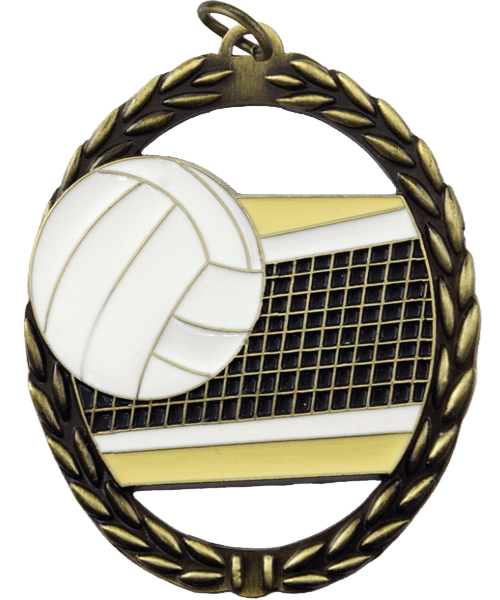 MS35030, Volleyball 2.75" image 0