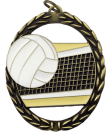 MS35030, Volleyball 2.75" image 0