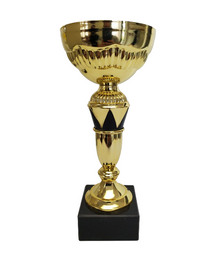 Challenger Cup, 3-9474 image 0