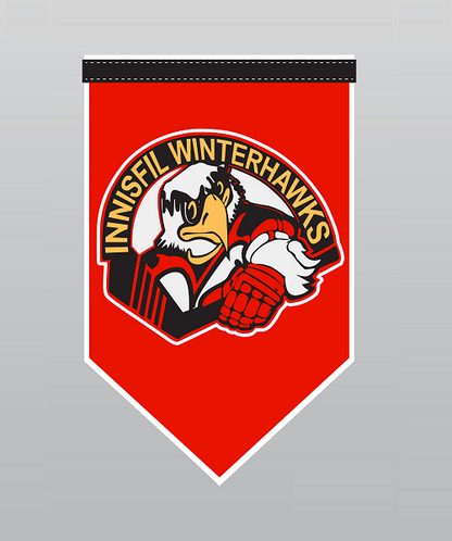 Custom Spear Head Pennant (15x24") image 1