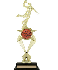 T18-65201, Ascent Series Basketball 12" image 0