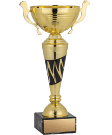 Economy Gold Cup image 0