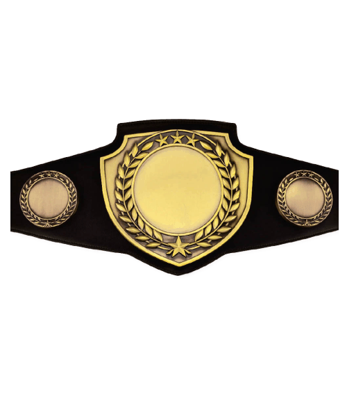 Championship Shield Belt image 0