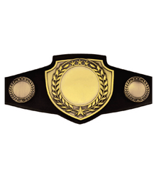 Championship Shield Belt image 0