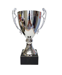 Forge 11.75" Trophy Cup image 0