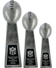 Silver Football image 0