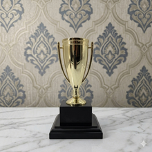 Tribunal Trophy Cup
