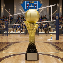 Valour Volleyball (2 sizes)